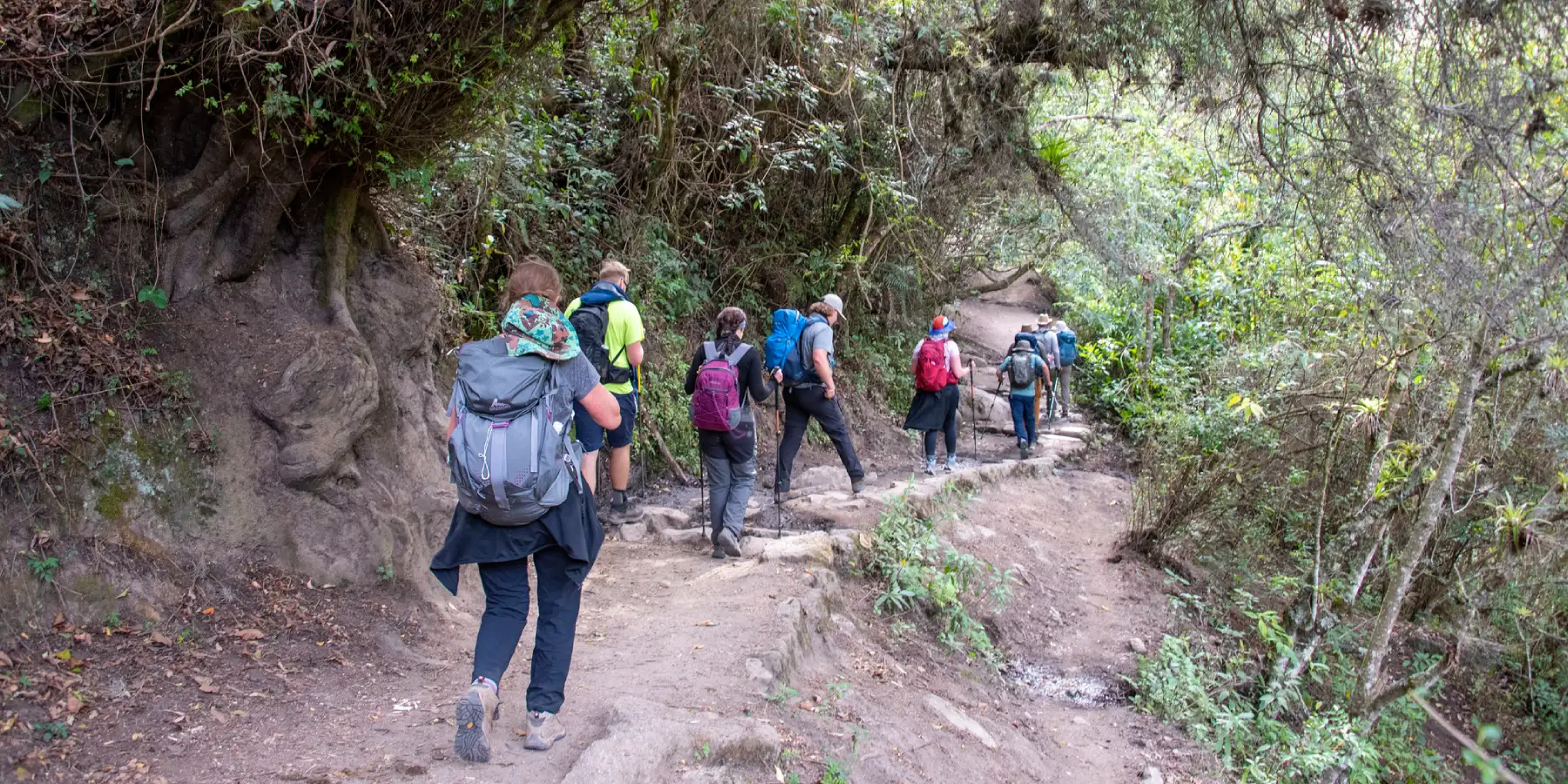 Montaña de Colores 1 día