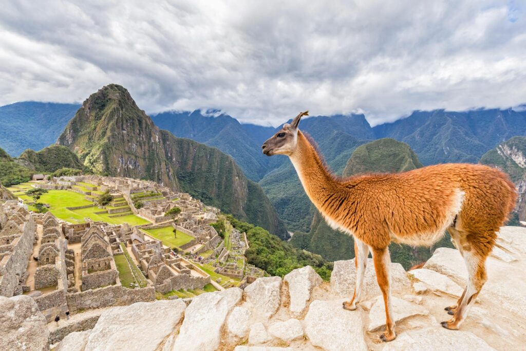 Tour a Machu Picchu y Waynapicchu por tren   2 Días